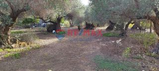 Οικόπεδο 1.855 τ.μ. για πώληση, Ν. Χανίων, Κολυμβάρι-thumb-6