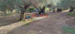 Οικόπεδο 1.855 τ.μ. για πώληση, Ν. Χανίων, Κολυμβάρι-thumb-7