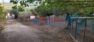 Οικόπεδο 530 τ.μ. για πώληση, Ν. Χανίων, Κολυμβάρι-thumb-1