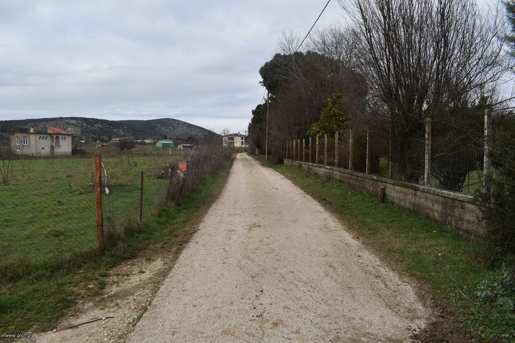 Οικόπεδο 6.041 τ.μ. προς πώληση, Πεδινή