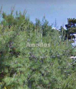Land plot 1.600sqm for sale-Corfu » Corfu Town