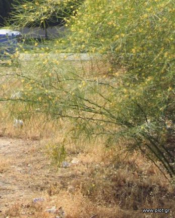 Land plot 407 sqm for sale, Athens - South, Alimos