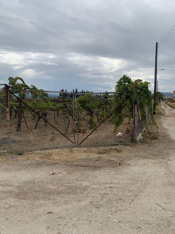 Land plot 1.250 sqm for sale, Corinthia, Vocha