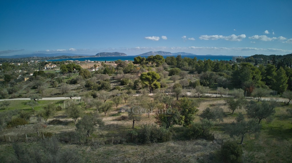 Αγροτεμάχια 4.000 τ.μ. προς πώληση, Πετροθάλασσα