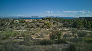 Αγροτεμάχια 4.000 τ.μ. προς πώληση, Πετροθάλασσα-thumb-3