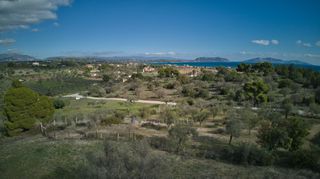 Αγροτεμάχια 4.000 τ.μ. προς πώληση, Πετροθάλασσα-thumb-1