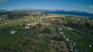 Αγροτεμάχια 4.000 τ.μ. προς πώληση, Πετροθάλασσα-thumb-16