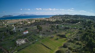 Αγροτεμάχια 4.000 τ.μ. προς πώληση, Πετροθάλασσα-thumb-11