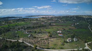 Αγροτεμάχια 4.000 τ.μ. προς πώληση, Πετροθάλασσα-thumb-4