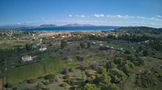 Αγροτεμάχια 4.000 τ.μ. προς πώληση, Πετροθάλασσα-thumb-10