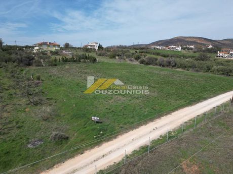 Αγροτεμάχια 2.500τ.μ. για πώληση-Αλεξανδρούπολη » Παλαγία