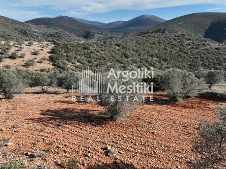 Αγροτεμάχια 33.569 τ.μ. για πώληση