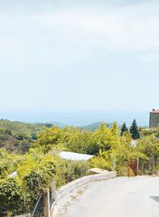 Οικόπεδο 688 τ.μ. προς πώληση, Μορφοβούνι-thumb-1