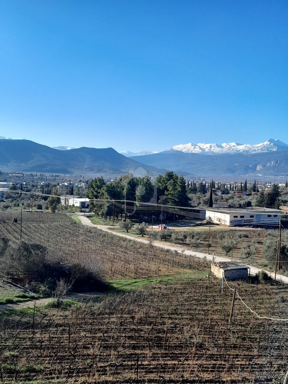 Αγροτεμάχια 5.000 τ.μ. προς πώληση, Κέντρο Νεμέας