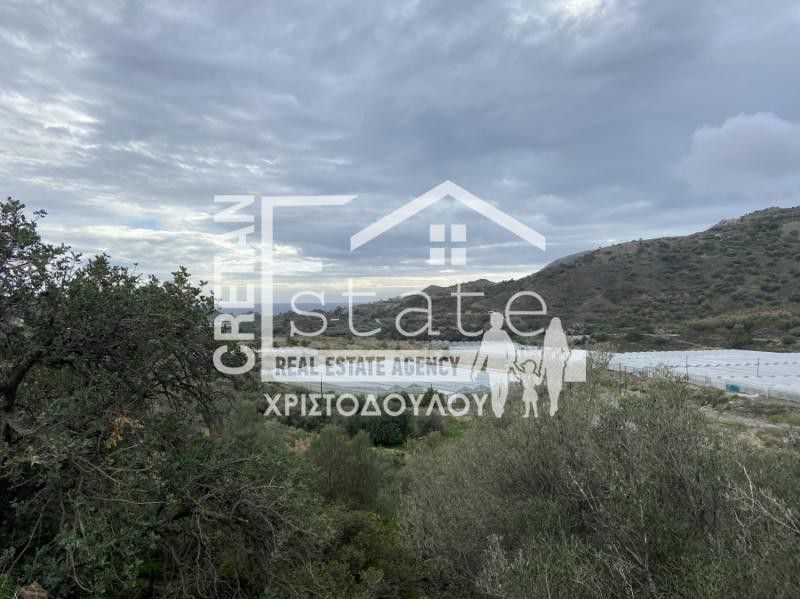 Αγροτεμάχια 5.402 τ.μ. πρός πώληση, Ν. Λασιθίου, Ιεράπετρα