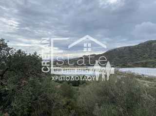 Αγροτεμάχια 5.402 τ.μ. για πώληση, Ν. Λασιθίου, Ιεράπετρα-thumb-4