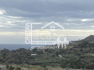 Αγροτεμάχια 5.402 τ.μ. για πώληση, Ν. Λασιθίου, Ιεράπετρα-thumb-3