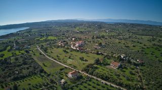Αγροτεμάχια 11.735 τ.μ. πρός πώληση, Αργολίδα, Κρανίδι-thumb-10