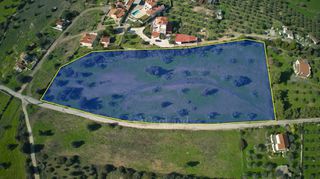 Αγροτεμάχια 11.735 τ.μ. πρός πώληση, Αργολίδα, Κρανίδι-thumb-9