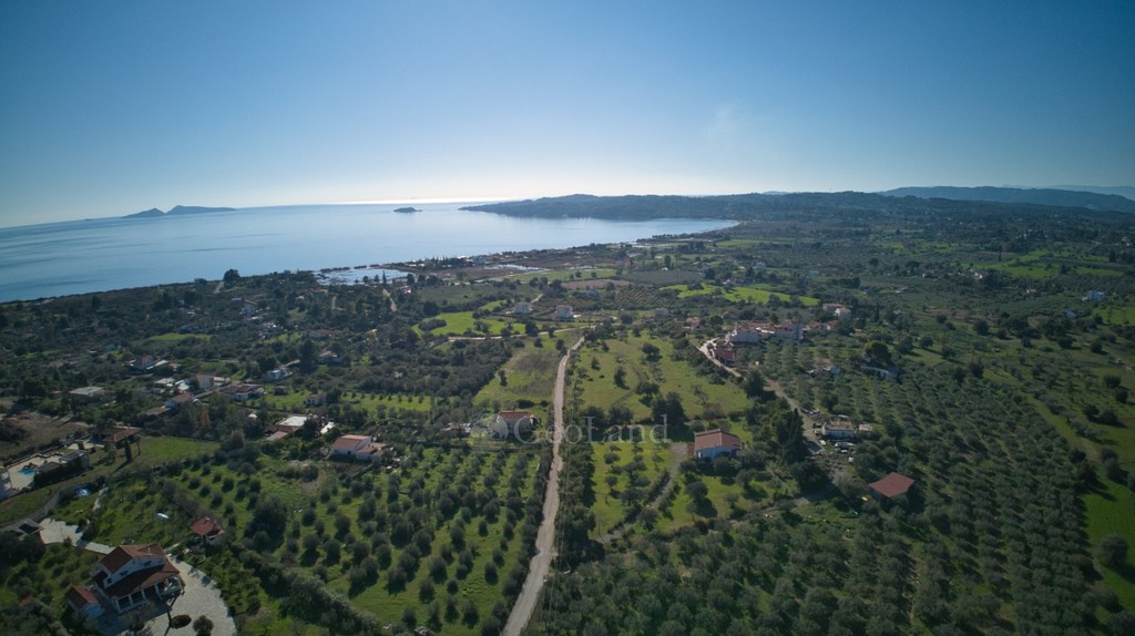 Αγροτεμάχια 11.735 τ.μ. πρός πώληση, Αργολίδα, Κρανίδι