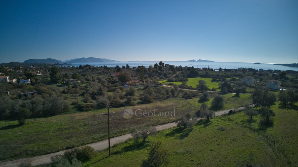 Αγροτεμάχια 11.735 τ.μ. πρός πώληση, Αργολίδα, Κρανίδι