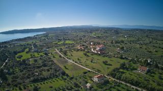 Αγροτεμάχια 11.735 τ.μ. πρός πώληση, Αργολίδα, Κρανίδι-thumb-19