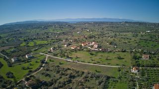 Αγροτεμάχια 11.735 τ.μ. πρός πώληση, Αργολίδα, Κρανίδι-thumb-11