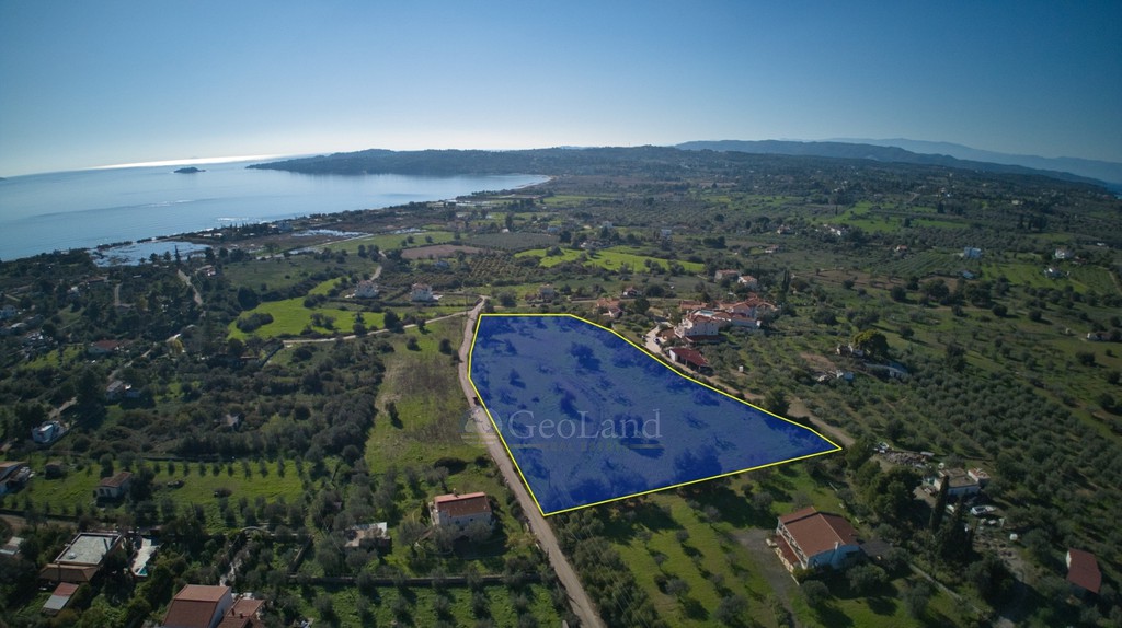 Αγροτεμάχια 11.735 τ.μ. πρός πώληση, Αργολίδα, Κρανίδι