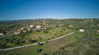 Αγροτεμάχια 11.735 τ.μ. πρός πώληση, Αργολίδα, Κρανίδι-thumb-16