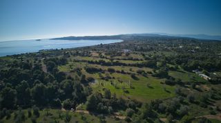 Αγροτεμάχια 14.000 τ.μ. πρός πώληση, Αργολίδα, Κρανίδι-thumb-7