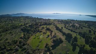 Αγροτεμάχια 14.000 τ.μ. για πώληση