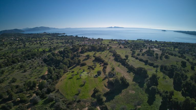 Αγροτεμάχια 14.000 τ.μ. για πώληση, Αργολίδα, Κρανίδι