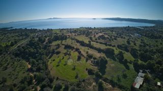 Αγροτεμάχια 14.000 τ.μ. πρός πώληση, Αργολίδα, Κρανίδι-thumb-11