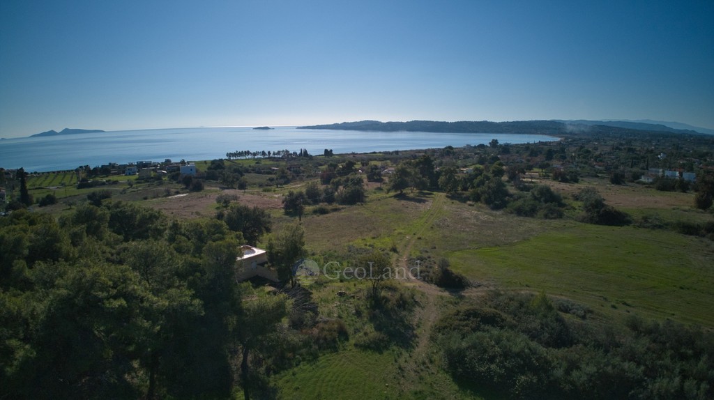 Αγροτεμάχια 14.000 τ.μ. προς πώληση, Πετροθάλασσα