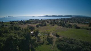 Αγροτεμάχια 14.000 τ.μ. πρός πώληση, Αργολίδα, Κρανίδι-thumb-1