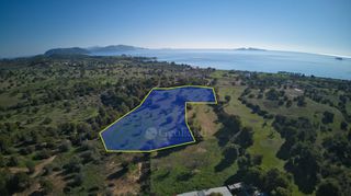 Αγροτεμάχια 14.000 τ.μ. πρός πώληση, Αργολίδα, Κρανίδι-thumb-4