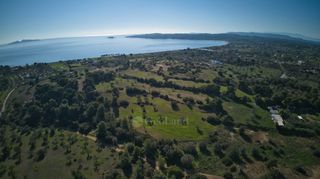 Αγροτεμάχια 14.000 τ.μ. πρός πώληση, Αργολίδα, Κρανίδι-thumb-12