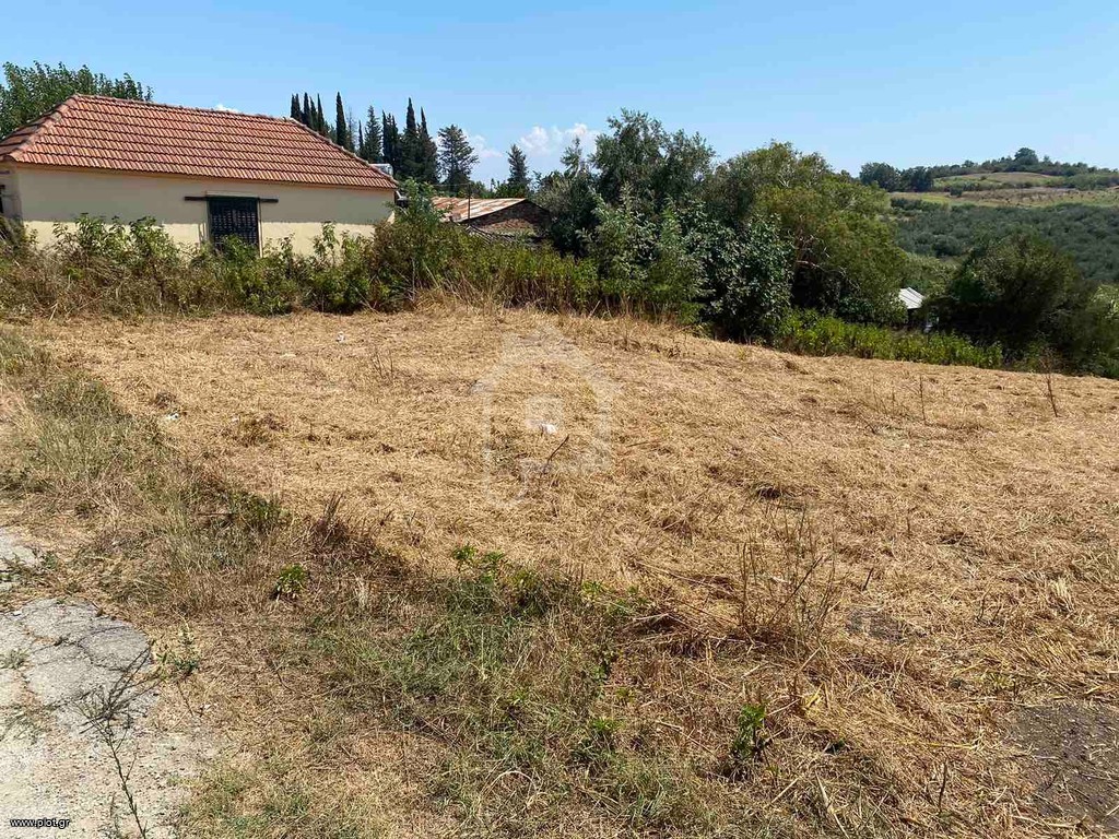 Οικόπεδο 2.000 τ.μ. προς πώληση, Ζάλογγο Πρέβεζας