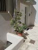 Apartment 49sqm for sale-Palaio Faliro » Amfithea