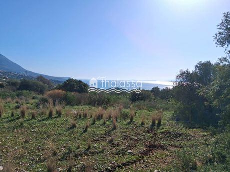 Οικόπεδο 4.392τ.μ. για πώληση-Κεφαλονιά » Λειβαθώ