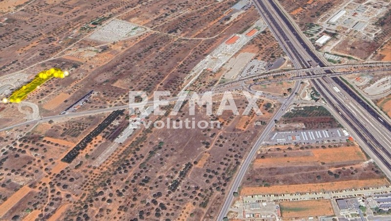 Αγροτεμάχια 4.000 τ.μ. προς ενοικίαση, Αθήνα - Ανατολικά Προάστια, Κορωπί