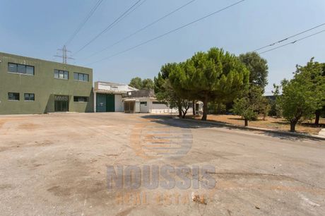 Βιομηχανικός χώρος 5.900τ.μ. για πώληση-Κρυονέρι » Ζώνη χονδρεμπορίου