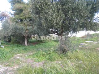Οικόπεδο 500 τ.μ. προς πώληση