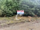 Land plot 4.359sqm for sale-Parnassos » Eptalofos