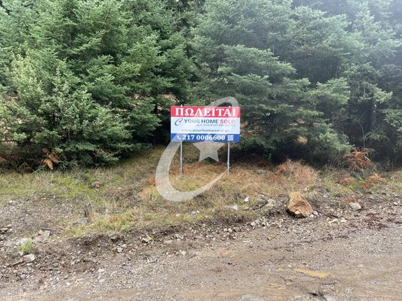 Οικόπεδο 4.359 τ.μ. για πώληση, Φωκίδα, Παρνασσός