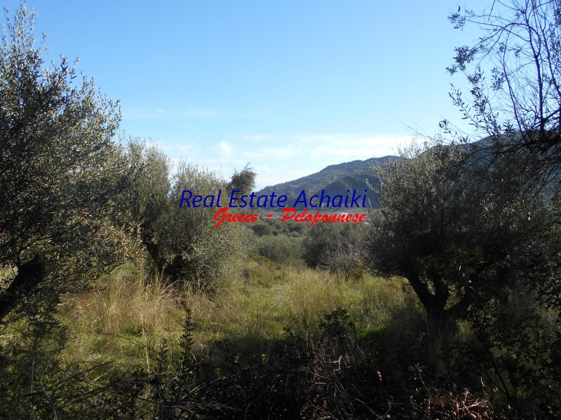 Αγροτεμάχια 4.000 τ.μ. προς πώληση, Ζήρια