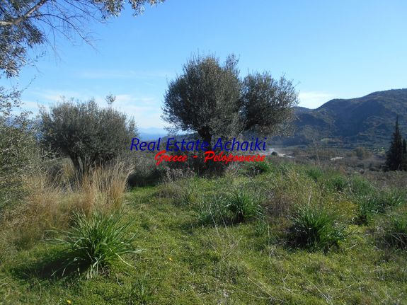 Parcel 4.000 sqm for sale, Achaia, Erineo