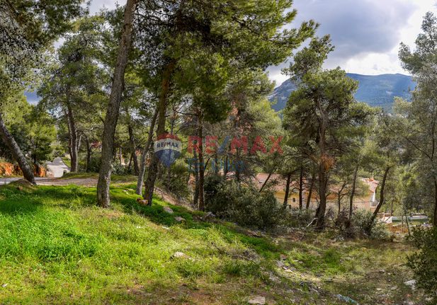 Οικόπεδο 800 τ.μ. για πώληση, Αθήνα - Βόρεια Προάστια, Διόνυσος