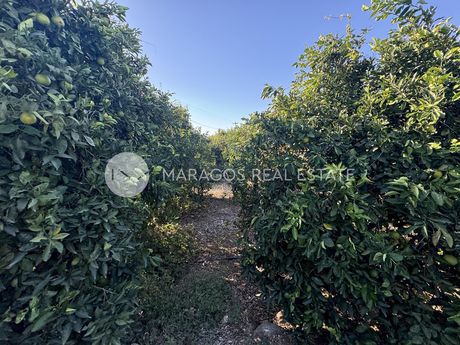 Αγροτεμάχια 22.300τ.μ. για πώληση-Άργος » Ίναχος