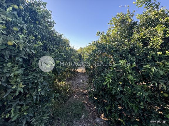 Αγροτεμάχια 22.300 τ.μ. για πώληση, Αργολίδα, Άργος